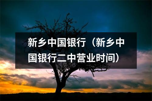 新乡中国银行（新乡中国银行二中营业时间）