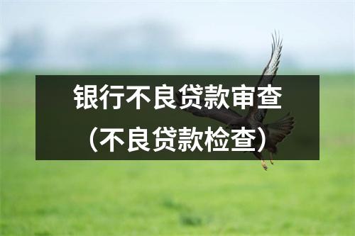 银行不良贷款审查（不良贷款检查）