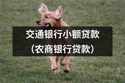 交通银行小额贷款（农商银行贷款）