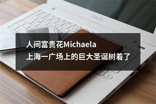 人间富贵花Michaela 上海一广场上的巨大圣诞树着了