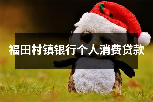 福田村镇银行个人消费贷款