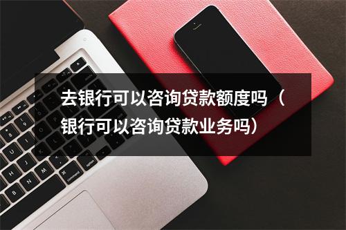 去银行可以咨询贷款额度吗（银行可以咨询贷款业务吗）