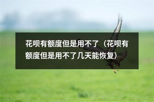 花呗有额度但是用不了（花呗有额度但是用不了几天能恢复）