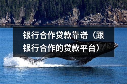 银行合作贷款靠谱(跟银行合作的贷款平台)
