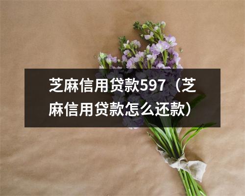芝麻信用贷款597（芝麻信用贷款怎么还款）