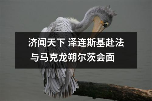 济闻天下 泽连斯基赴法 与马克龙朔尔茨会面