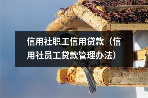 信用社职工信用贷款（信用社员工贷款管理办法）