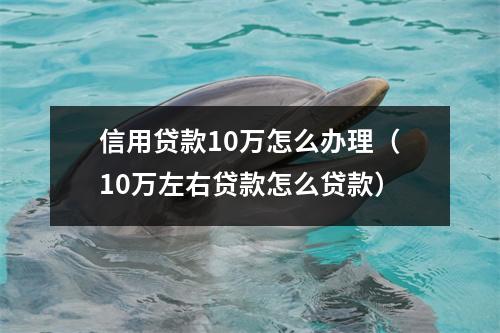 信用贷款10万怎么办理（10万左右贷款怎么贷款）