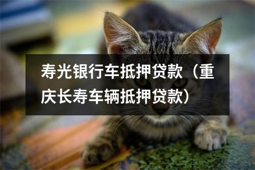 寿光银行车抵押贷款（重庆长寿车辆抵押贷款）