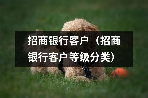 招商银行客户（招商银行客户等级分类）