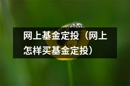 网上基金定投（网上怎样买基金定投）