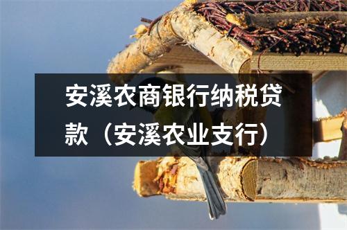 安溪农商银行纳税贷款（安溪农业支行）