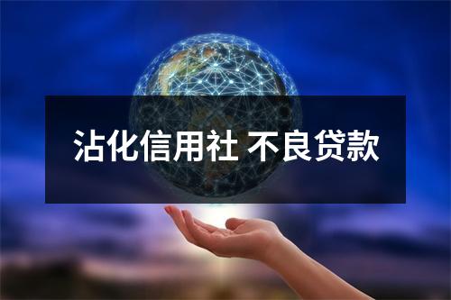 沾化信用社 不良贷款