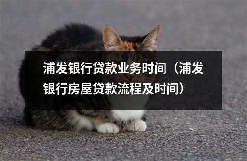 浦发银行贷款业务时间（浦发银行房屋贷款流程及时间）
