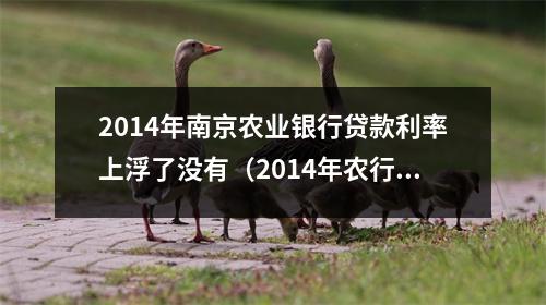 2014年南京农业银行贷款利率上浮了没有（2014年农行房贷利率）