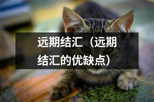 远期结汇(远期结汇的优缺点)