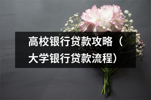高校银行贷款攻略（大学银行贷款流程）