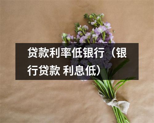 贷款利率低银行（银行贷款 利息低）
