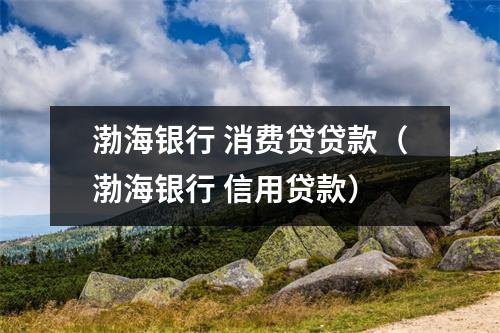 渤海银行 消费贷贷款（渤海银行 信用贷款）