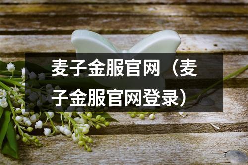 麦子金服官网（麦子金服官网登录）