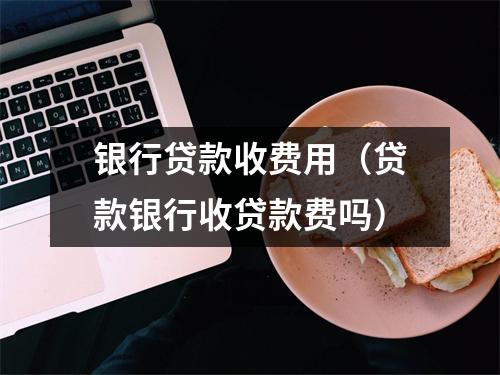 银行贷款收费用（贷款银行收贷款费吗）