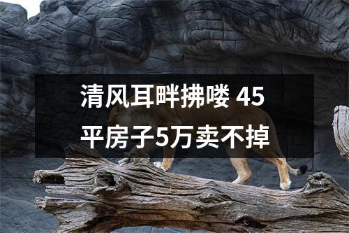 清风耳畔拂喽 45平房子5万卖不掉