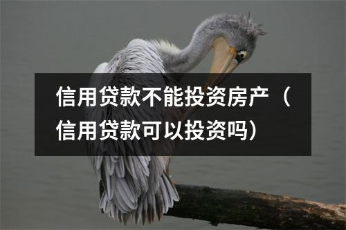 信用贷款不能投资房产（信用贷款可以投资吗）