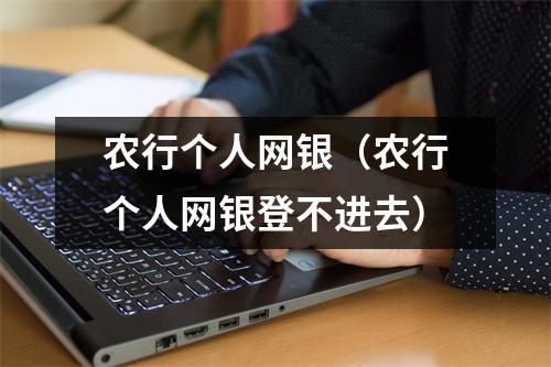 农行个人网银（农行个人网银登不进去）