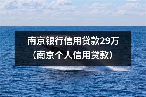 南京银行信用贷款29万（南京个人信用贷款）