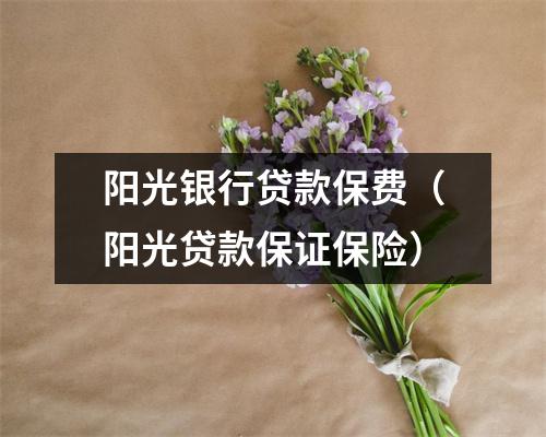 阳光银行贷款保费（阳光贷款保证保险）