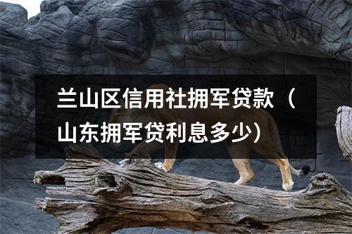 兰山区信用社拥军贷款(山东拥军贷利息多少)