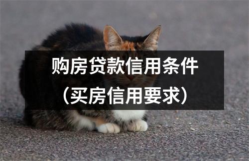 购房贷款信用条件（买房信用要求）