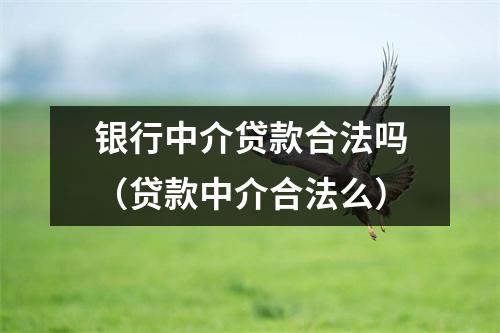 银行中介贷款合法吗(贷款中介合法么)