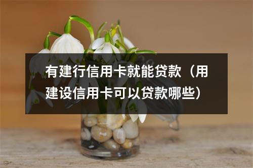 有建行信用卡就能贷款（用建设信用卡可以贷款哪些）