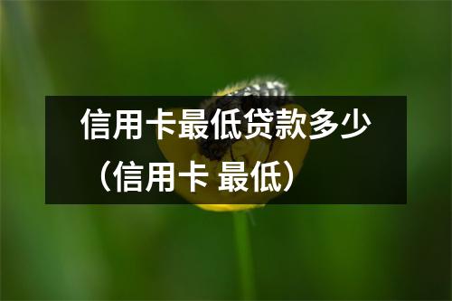 信用卡最低贷款多少（信用卡 最低）