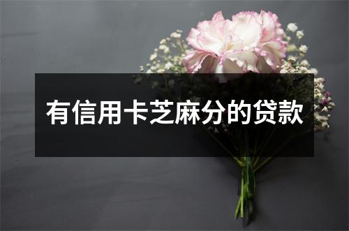 有信用卡芝麻分的贷款