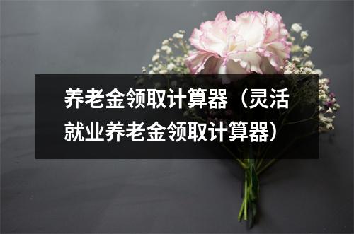 养老金领取计算器（灵活就业养老金领取计算器）