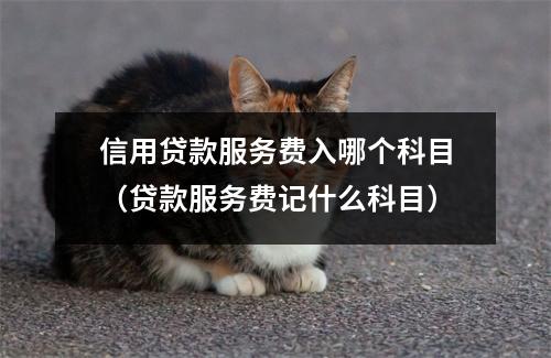 信用贷款服务费入哪个科目（贷款服务费记什么科目）