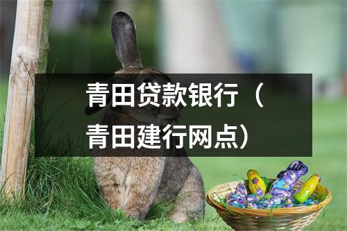 青田贷款银行（青田建行网点）