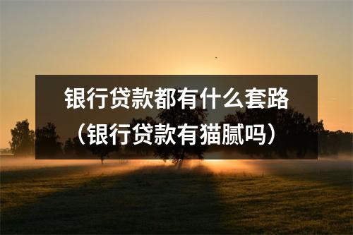 银行贷款都有什么套路（银行贷款有猫腻吗）
