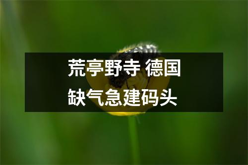 荒亭野寺 德国缺气急建码头