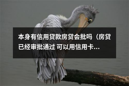 本身有信用贷款房贷会批吗（房贷已经审批通过 可以用信用卡吗?）