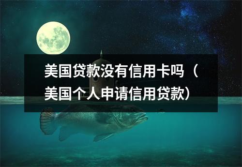 美国贷款没有信用卡吗（美国个人申请信用贷款）