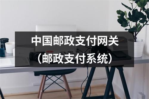 中国邮政支付网关(邮政支付系统)