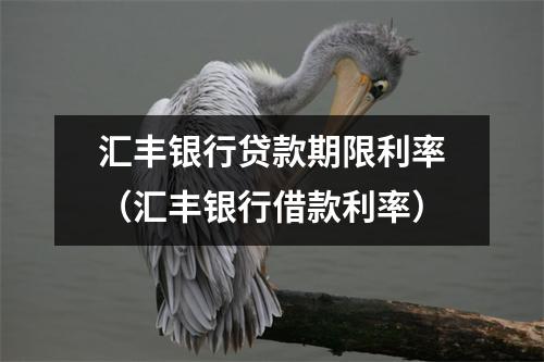 汇丰银行贷款期限利率（汇丰银行借款利率）
