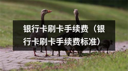 银行卡刷卡手续费（银行卡刷卡手续费标准）