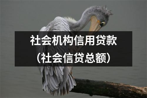 社会机构信用贷款（社会信贷总额）
