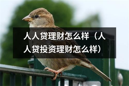 人人贷理财怎么样（人人贷投资理财怎么样）