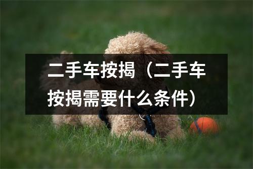 二手车按揭（二手车按揭需要什么条件）