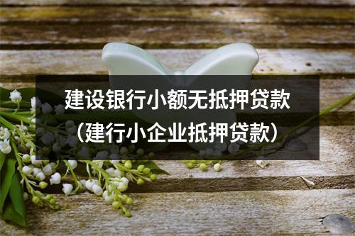 建设银行小额无抵押贷款（建行小企业抵押贷款）